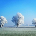 frost storm.jpg