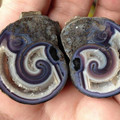 agate_shell.jpg