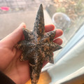 carved rhodenite.webp