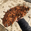 smoky quartz covered in spessartine from china.jpg