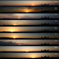 12_photos_of_Sun_every_month,_same_spot,_same_time..jpg