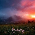 Mesmerizing-Nature-Photographs-that-will-Take-Your-Breath-Away-600ec177b737d_880.jpg