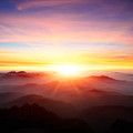 istockphoto-185067762-612x612.jpg