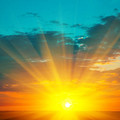 istockphoto-854130274-612x612-1.jpg