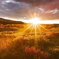 sunshine3.jpg