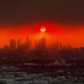 Andrew Kimmel - Good morning from Los Angeles [1877011537904488448].mp4