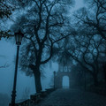 EqNLwc-U0AA7iV5.jpg