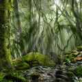 Jungledreamstime_l_92016983.jpg