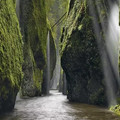 Oneonta_Gorge.webp