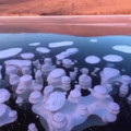Today In History - 15. Methane bubbles under the ice of Lake Baikal. [1879608127575687168].mp4
