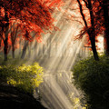 amazing-reflections-optical-illusions-17-5836d9007ef9b_700.jpg