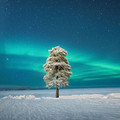 astronomy-photographer-year-winners-2020-5f5f2ed85a425_880.jpg