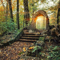 beautiful-abandoned-places-objects-pics-61374ab6cff16_700.jpg