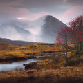 black mount.jpg