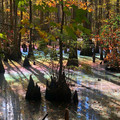 colorful_water.jpg