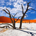 deadvlei.jpg