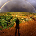 ePineField-Rainbow_wm_cte.jpg