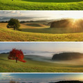 four_seasons-Slovakia.jpg