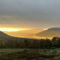 golden_landscape.jpg
