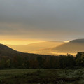 golden_landscape_1.jpg