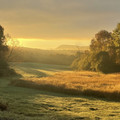 golden_landscape_2.jpg