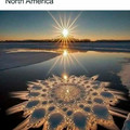 ice flower in the great lakes.jpg