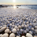 ice_eggs.jpg