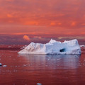 iceberg sunrise.jpeg