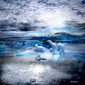 iceland-nature-travel-photography-21-5863c390eb5b1_880.jpg