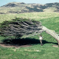 intense_wind.jpg