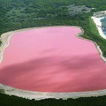 lake hillier.jpg