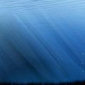 lake that speaks 8.jpg