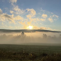 landscape5.jpg
