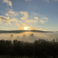 landscape_2.jpg