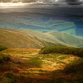 landscape_l2.jpg