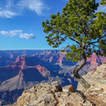 main-qimg-340191c862e6b97a90cccd7c40ddc88a.jpeg