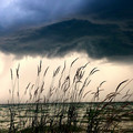 minimalist-photography-pics-2-64704a171e3ce_700.jpg