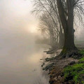 misty_bank.jpg