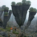mt kilimanjaro.jpg