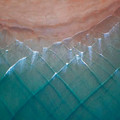 square waves.jpeg