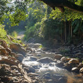 stream.jpg