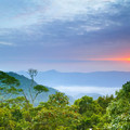 the darien landscape collection by oyvind martinsen.webp