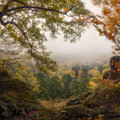 the_advent_of_autumn.jpg