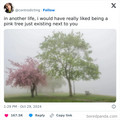 trees 2.jpg