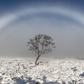 white_rainbow_over_moor_in_scotland.jpg