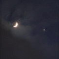 1.4M views · 50K reactions ｜ Moon & Venus -January 3rd 2025 ｜ Lunar 101-Moon Book [1322223775794983].mp4