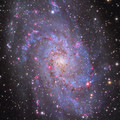 The_Triangulum_galaxy_M33.jpg
