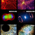 brain_cell_universe.jpg