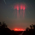 red sprides and preseids by paul smith.jpg