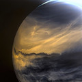 venus 4.jpeg